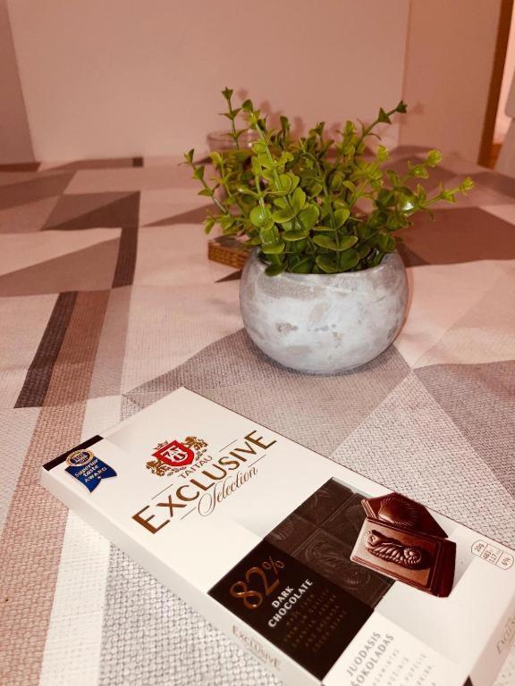 Apartmány Česká Kanada Český Rudolec Exteriér fotografie